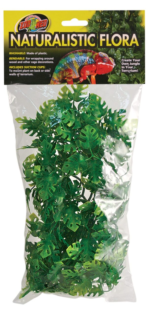 Zoomed Muovikasvi Amazonian Phyllo Medium