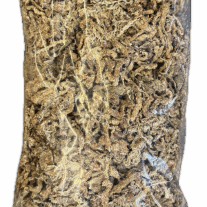 Premium Chile Sphagnum Moss 8L (Chileläinen rahkasammal)