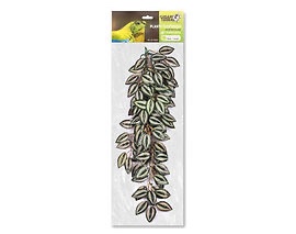 Giganterra hanging plant Tradescantia 70m LARGE