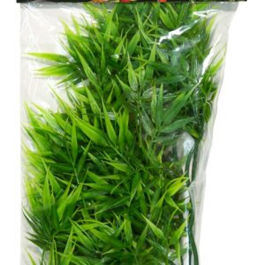 Zoomed Medium Madagascar Bamboo