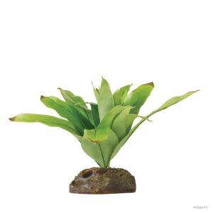 Exo Terra Dart Frog Bromelia Medium